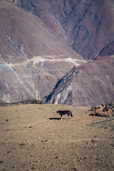 Upper Dolpo Trek